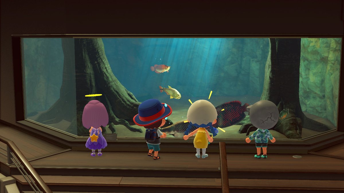 joshdoitt's tweet photo. bday afterpartey of nicole #AnimalCrossing #ACNH #NintendoSwitch https://t.co/iyB91rBh1y