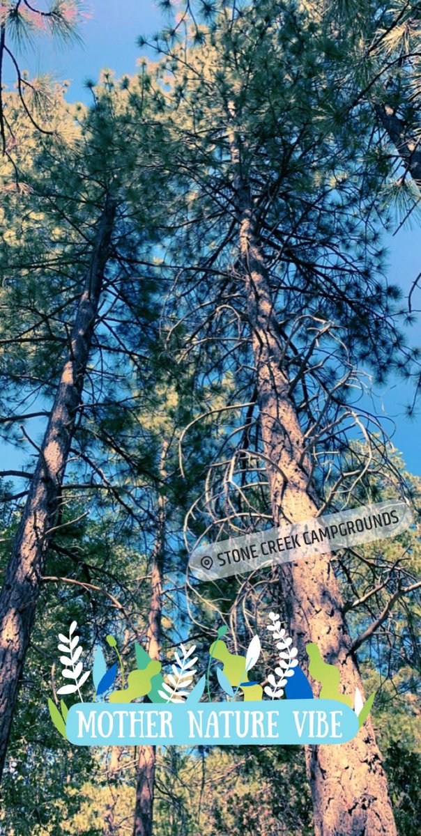 123Tragedy's tweet photo. 🏕🏕🏕 https://t.co/62JT0a7bK3