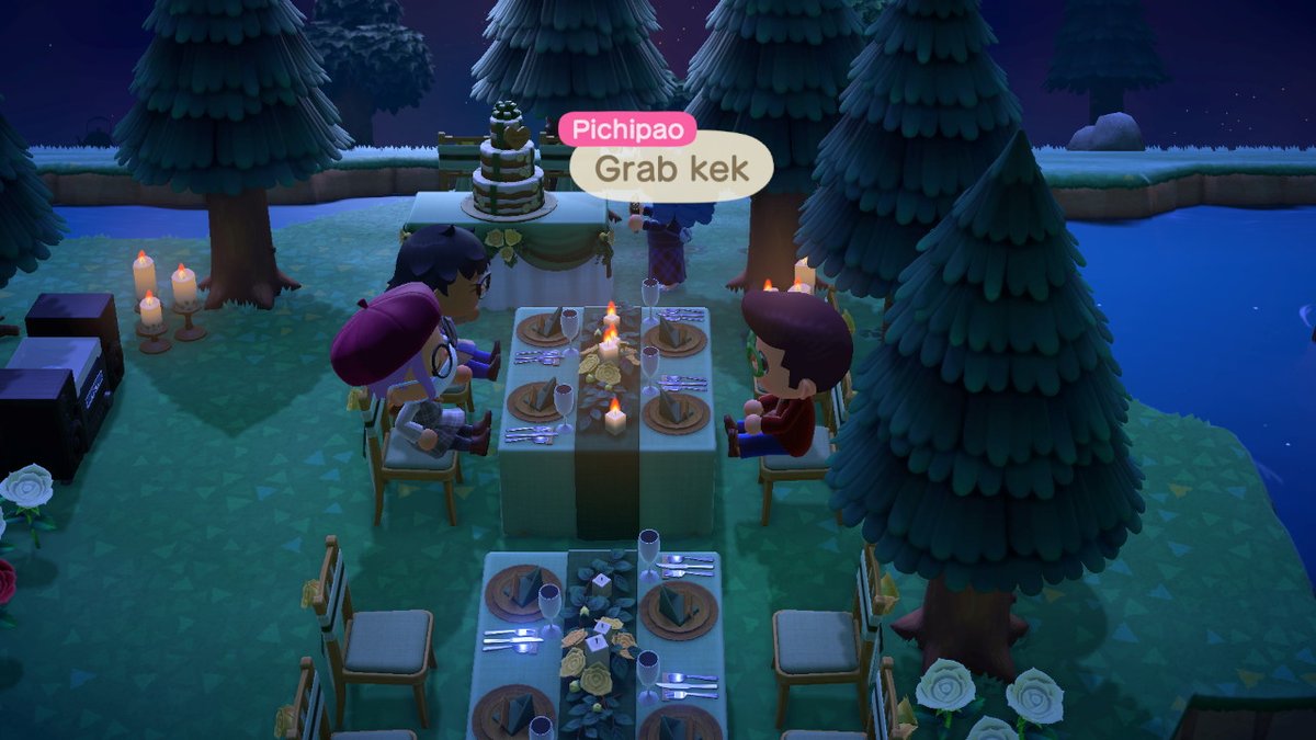 joshdoitt's tweet photo. nicole's bday partey #AnimalCrossing #ACNH #NintendoSwitch https://t.co/EnxLr5HKMB