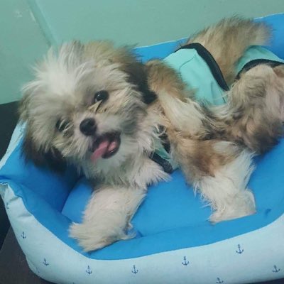 BrylleEvil's tweet photo. #NewProfilePic https://t.co/gTIGw8La23