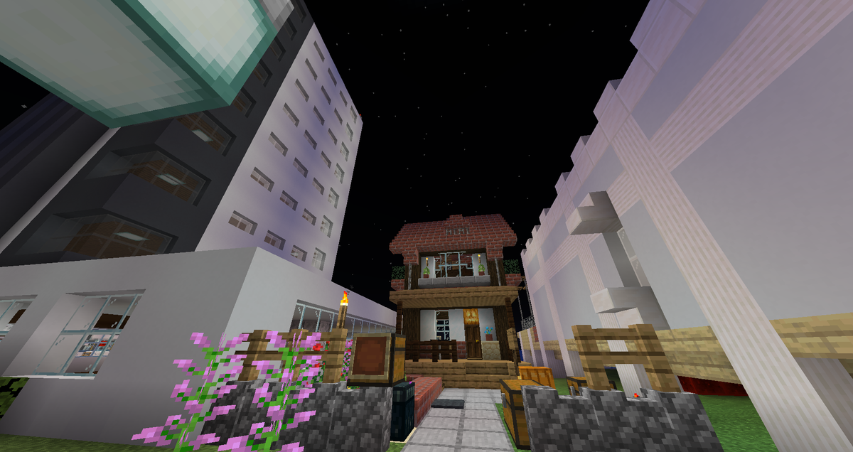 はく ちゃぶ台サーバー 1 12探検記 1 羊ヶ崎ゲート前 中心 多分2番目に建った私のおうち 遺影