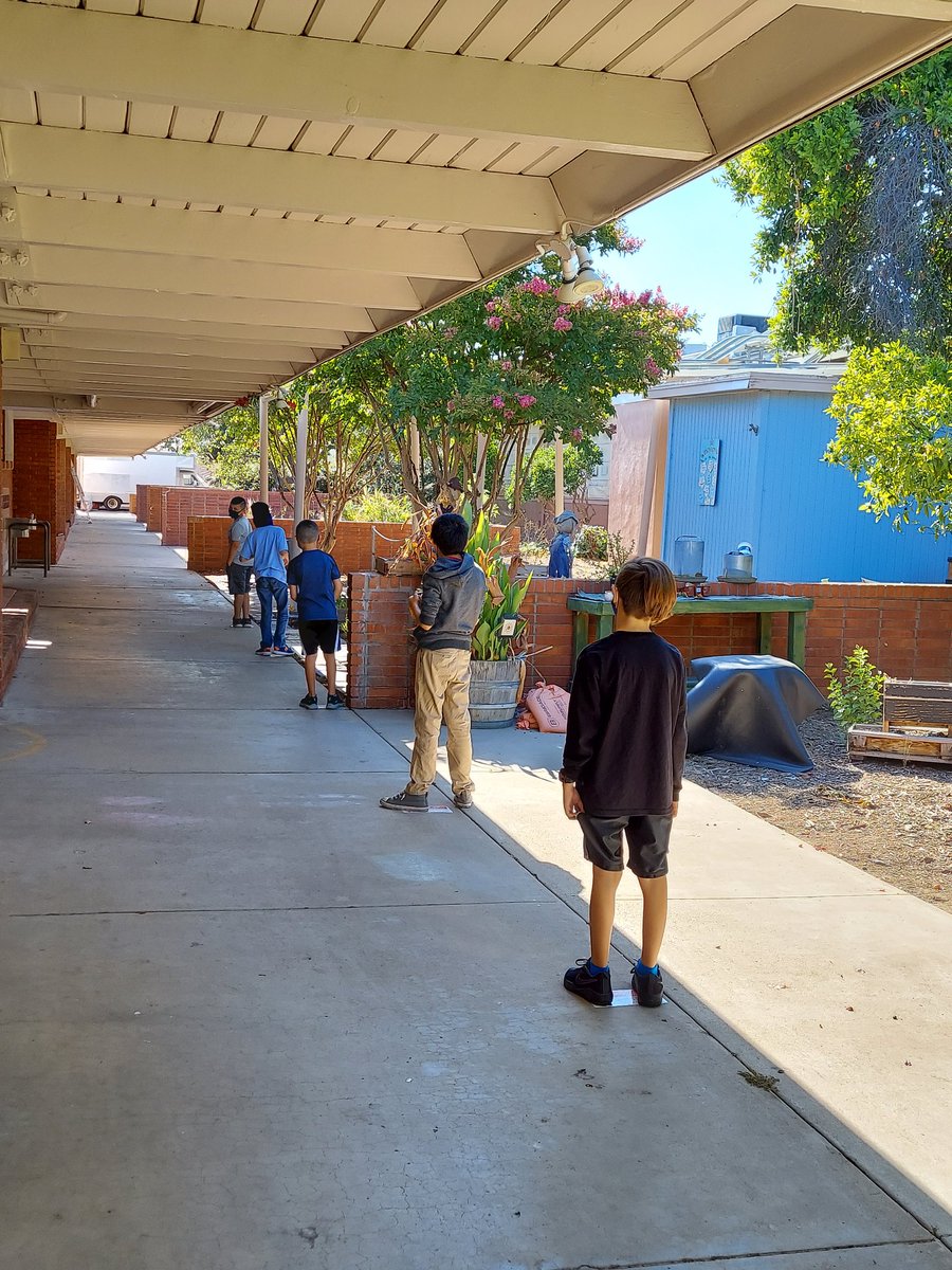 26 years teaching. I'll do it on site, I'll do it when it's right. I'll do it with a mask when it's safe to task. I'll do it on zoom if I can't do it in my room. <a href="/CajonValleyUSD/">CajonValleyUSD</a> @ChaseTigers <a href="/cvea1/">#wearecvea</a>