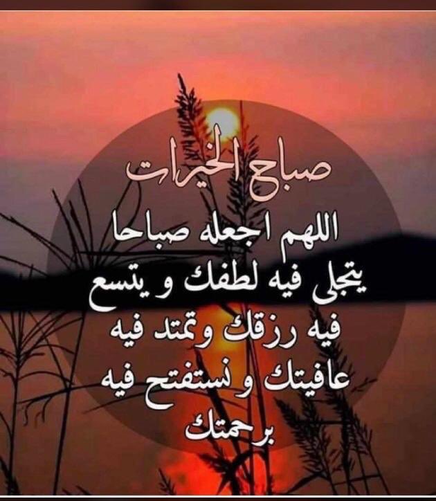 J_ALedeib's tweet photo. صباح الخير🌹🌹 https://t.co/nqyzXXDZ9T