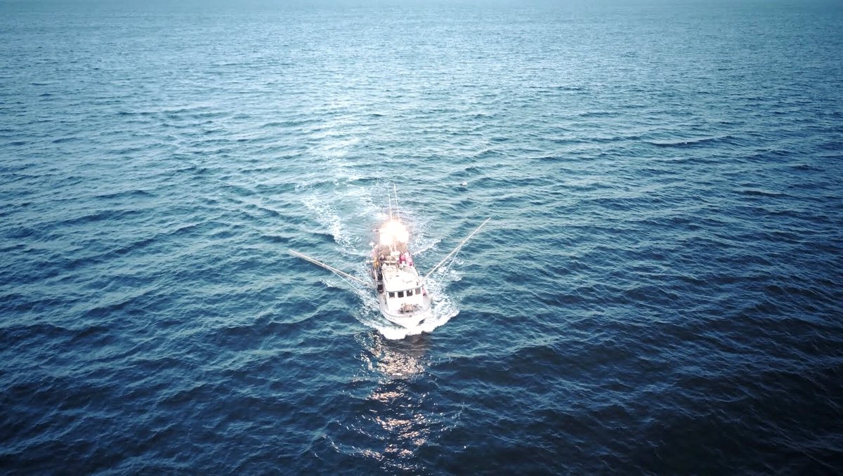 WordsBySamS's tweet photo. If you are an Oregonian who is interested in eating local, then you may be interested in learning more about Oregon Coast seafood and some of the people involved. 🌊
https://t.co/TM4Aa0CfM1 #EatOregonSeafood #OregonCoast #Seafood #EatLocal https://t.co/1OF1StG1mo