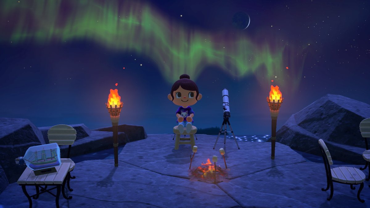 BinaryTurtle's tweet photo. #AnimalCrossing #ACNH #NintendoSwitch https://t.co/f7ZLYAGKIr