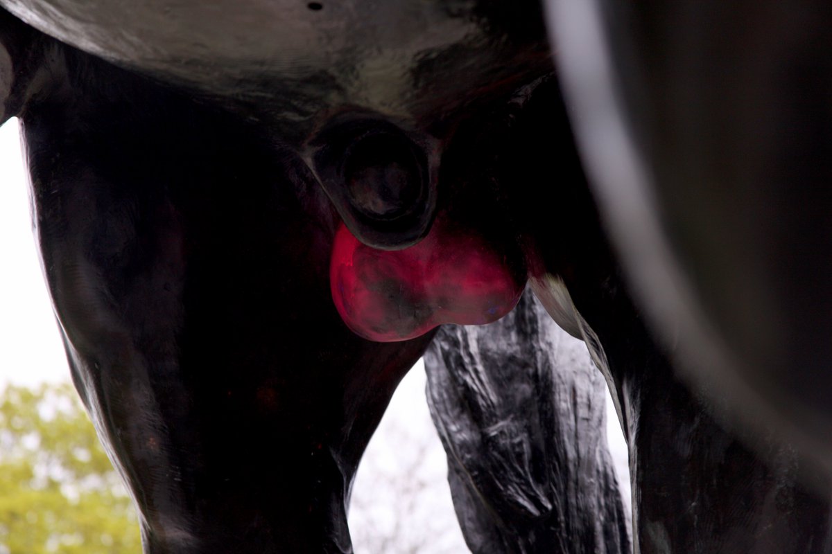 This is far from the first time King Edward's statue in Queen's Park has had paint on it—it has long been a target for U of T frosh, whose annual tradition of painting the horse's balls seems to end without anyone getting arrested at all.(pic: Ashley Brook for  @thisiscanadiana)