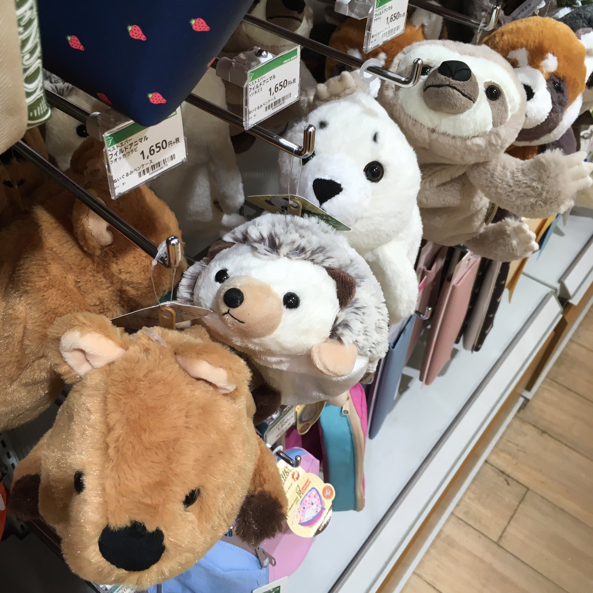 東急ハンズ町田店 整理してたらふと目線を感じたよね きれいに並んで 夜動いてるんですかね ཀ 口が笑ってるので人気のクオッカワラビーが仲間入り アニマルペンケース 各種1650円 税 東急ハンズ町田店７ｆカミ