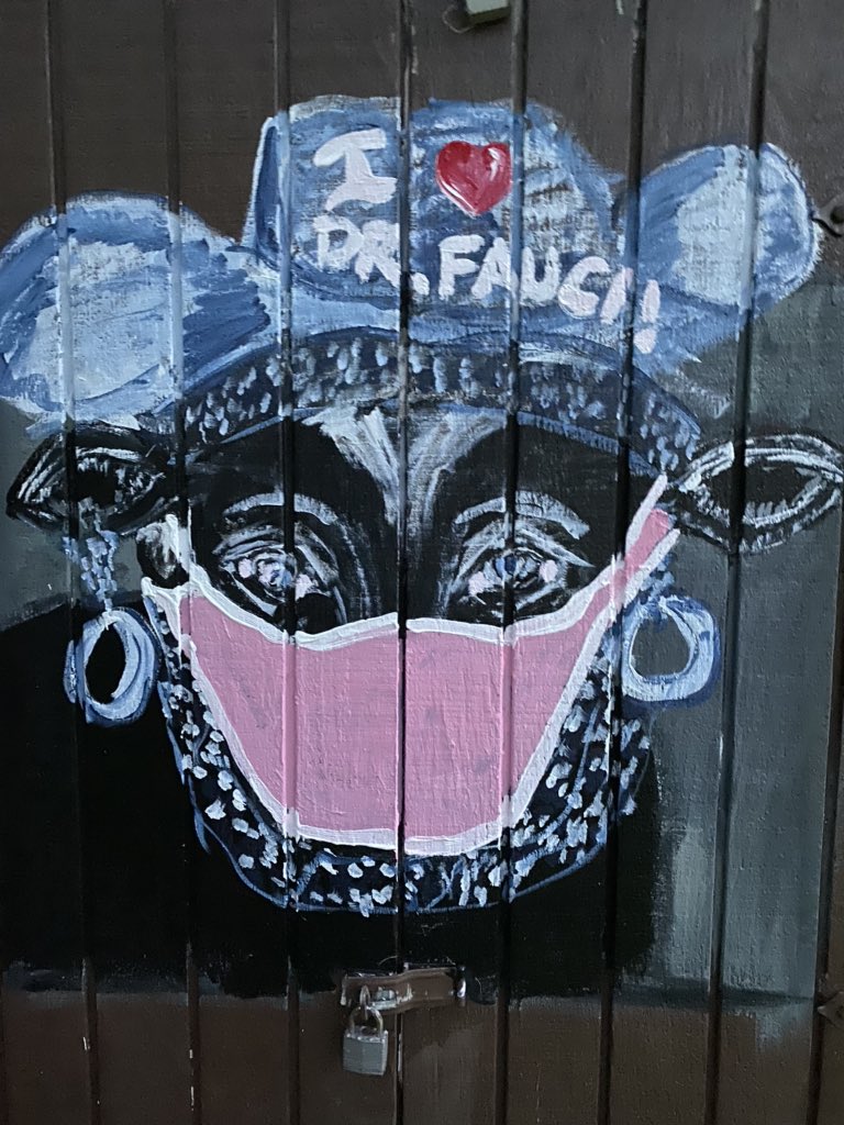 MaBeshey's tweet photo. In honor of our infectious disease expert Dr. Megan Srinivas. I think Banksy struck at the Ranch while I was away...#MaskUpWebsterCounty #DrFauciManOfTheYear https://t.co/iZdylrLJmM