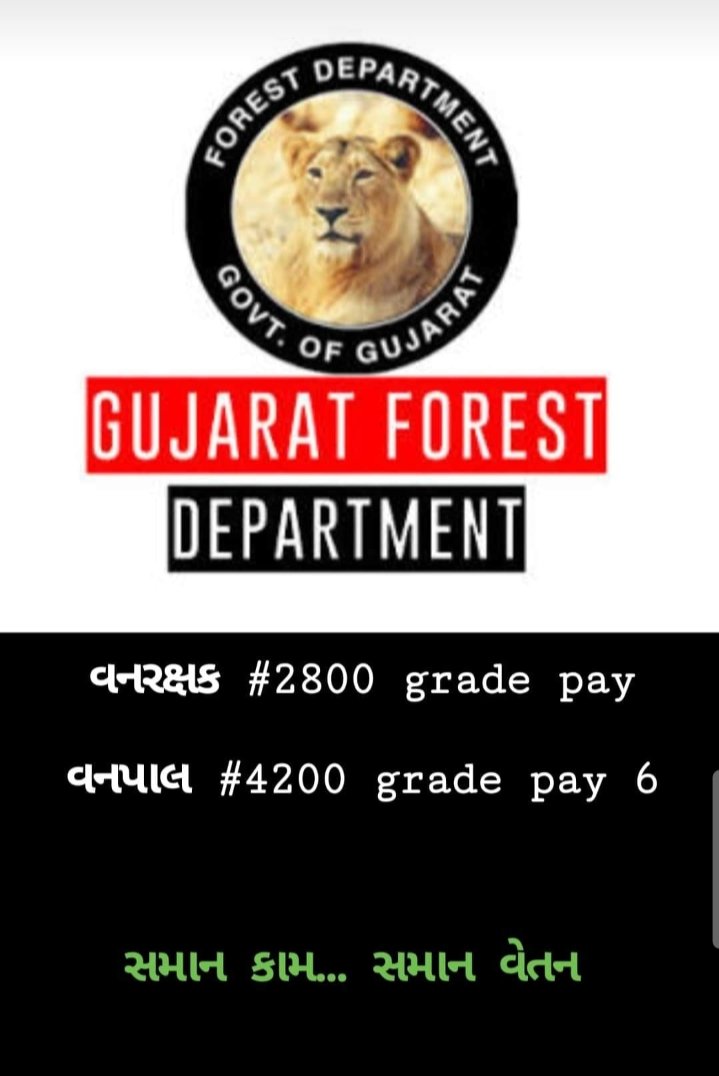 RuhinVahora's tweet photo. 24×7 સદૈવ જંગલ નાં રક્ષણ માટે તત્પર રહેનાર વનરક્ષક મિત્રોને #2800 ગ્રેડ પે મળવું જ જોઈએ..
#2800gradepay_forestguard
#4200gradepay_forester
@CMOGuj 
@tv9gujarati 
@sandeshnews 
@isudan_gadhvi 
@VtvGujarati 
@gujratsamachar
@vijayrupanibjp 
@Ganpatsinhv 
@Nitinbhai_Patel https://t.co/G1w864tmfc