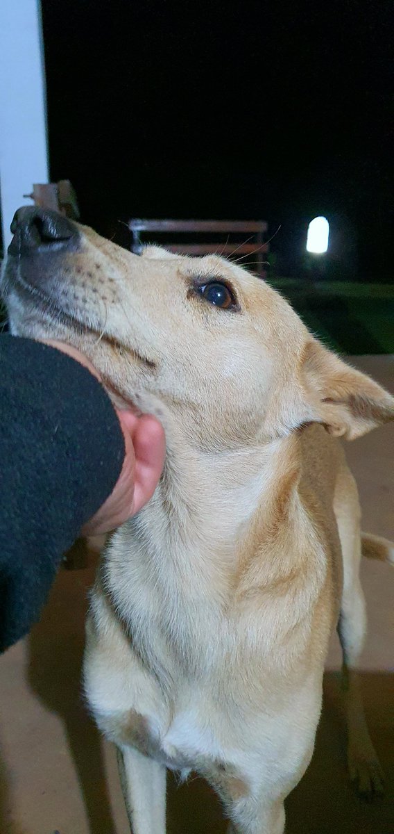 Javi López 🌱 tweet media