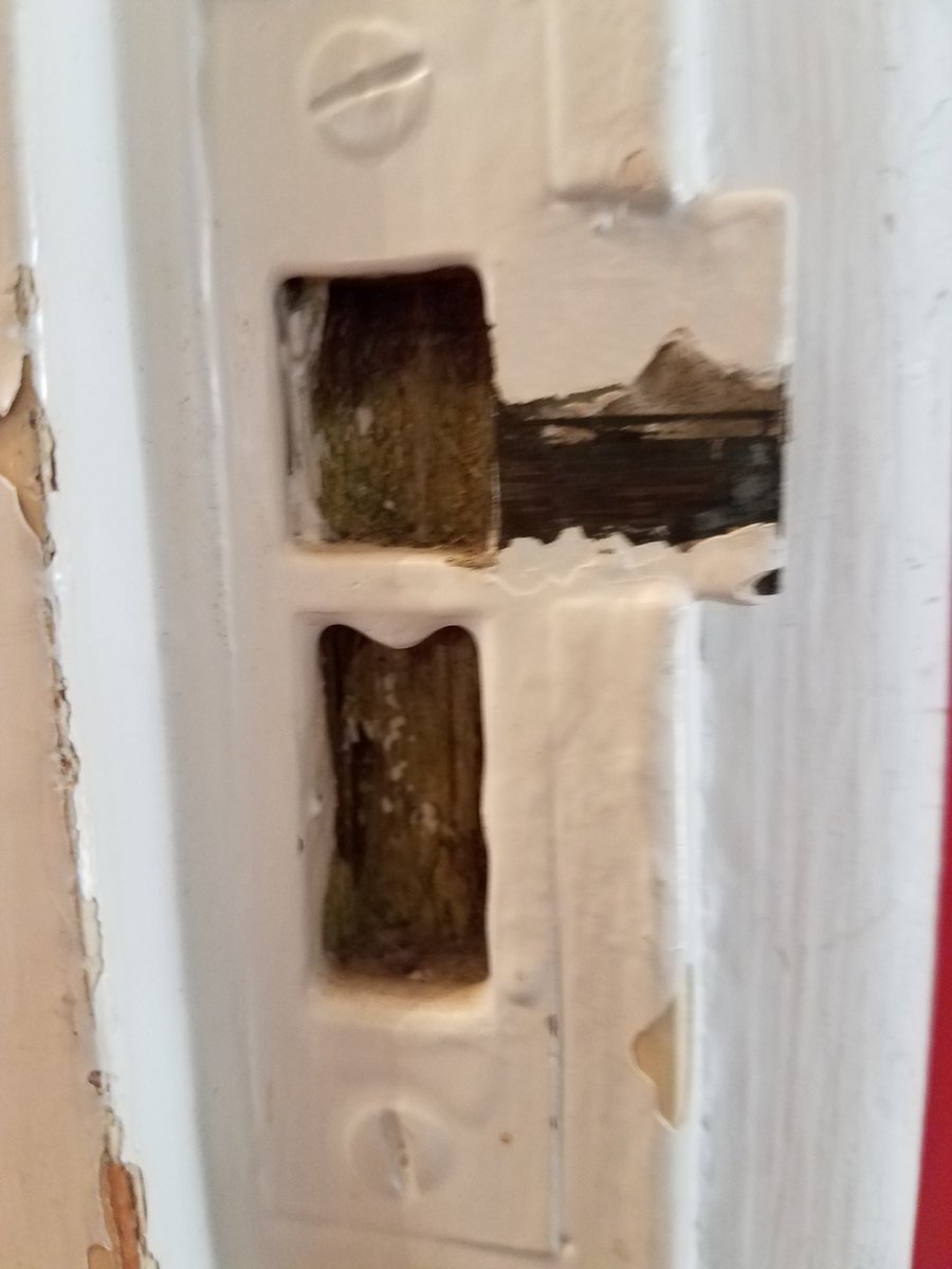 sdBECS's tweet photo. Spent the morning stripping paint, all the while listening to Blondie. #DieYoungStayPretty #TooLate https://t.co/B6HhbrR7cA