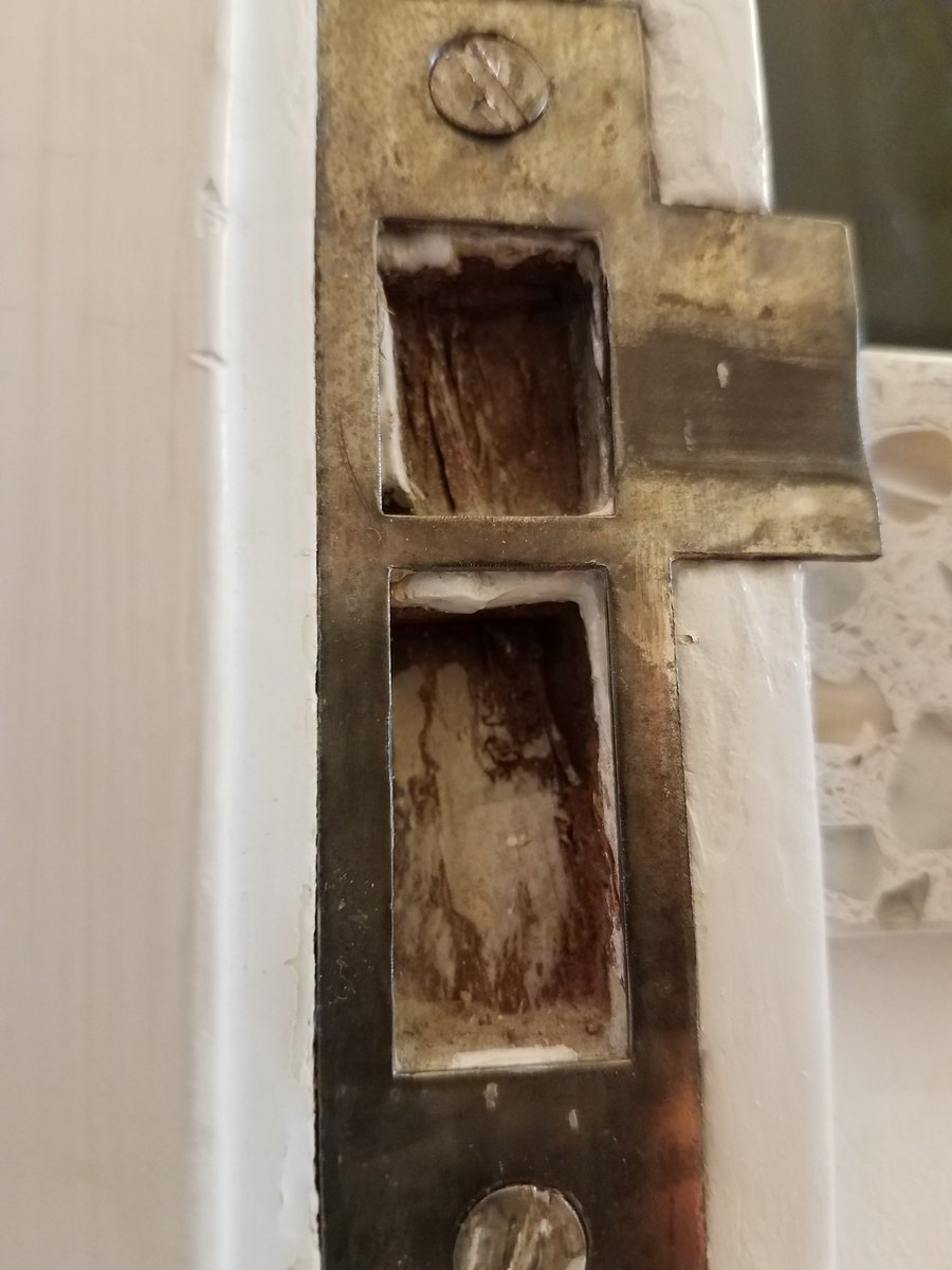 sdBECS's tweet photo. Spent the morning stripping paint, all the while listening to Blondie. #DieYoungStayPretty #TooLate https://t.co/B6HhbrR7cA