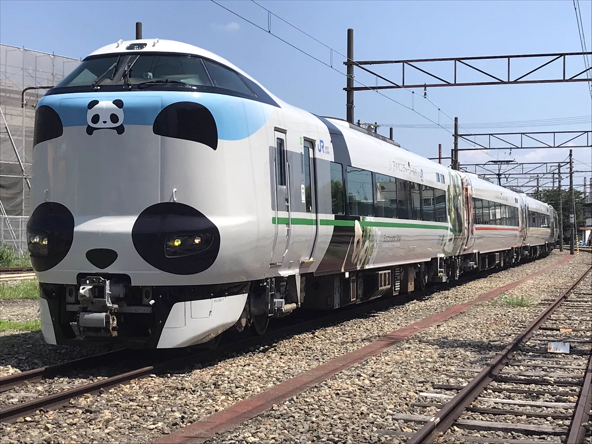 特急くろしおのラッピング車両パンダくろしおがカワイイ～