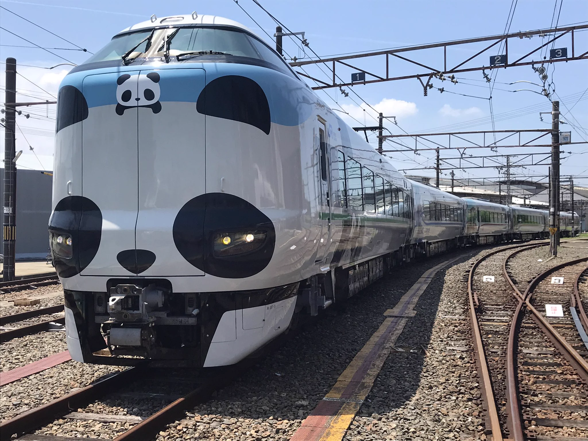 特急くろしおのラッピング車両パンダくろしおがカワイイ～