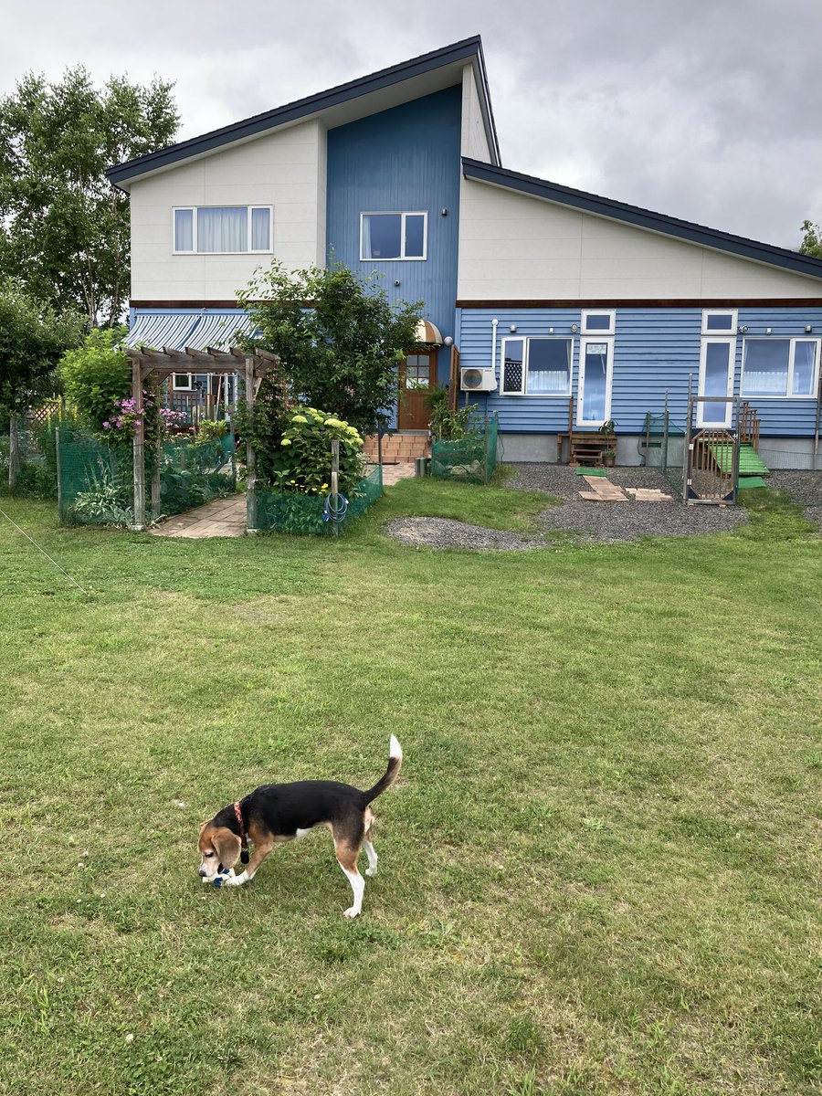 フィールドメリー