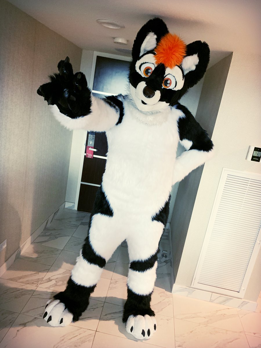 y'all think im smol and young but im BIG and STRONK. #FursuitFriday #TarouGang