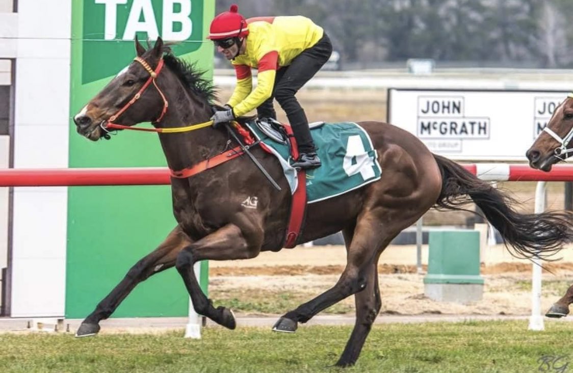 JJRacing_ACT's tweet photo. Delightful Dream (pic) delights many with a debut win at Narrandera. He’s a 3YO Gelding by Dream Ahead, bred by @AmbergateFarm. Congratulations to all connections 🐎 #jjrwinner #josephjonesracing https://t.co/OMnX17Vpoc
