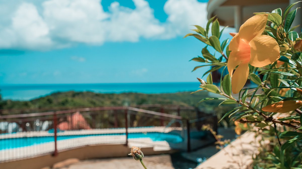 fer7480's tweet photo. Beautiful Villa for a perfect family retreat in a private, cozy and elegant property in #fajardo #PuertoRico ‼️🔥 Find us thru @Airbnb and book now‼️ #prohost #superhost #caribbeanlife #islandlife #familyvacation https://t.co/QhNW1RIplz