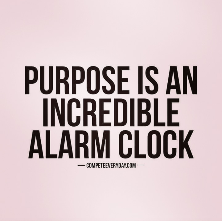 ArshiBushra4321's tweet image. The real being comes on the day you realize the #purpose behind your existence💫
#findone #makeone #makeyourself
