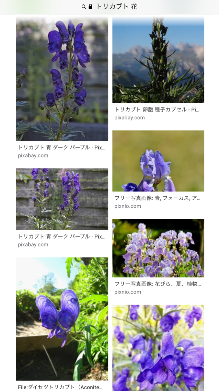 治田 洗礫 Twitterissa 7月19日の誕生花に トリカブト がある 紫色の美しい花をつけるが 有毒成分のアコニチンを含み 誤食すると死に至るが 塊根は加工されて漢方薬の附子になる 箱根の芦ノ湖の浜に トリカブト というガレ場がある 地理院地図では 滝 に誤