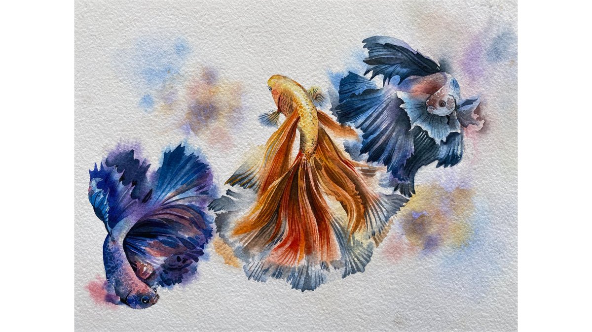 Watercolor Gallery H2ocolor Twitter Watercolor Gallery H2ocolor Twitter
