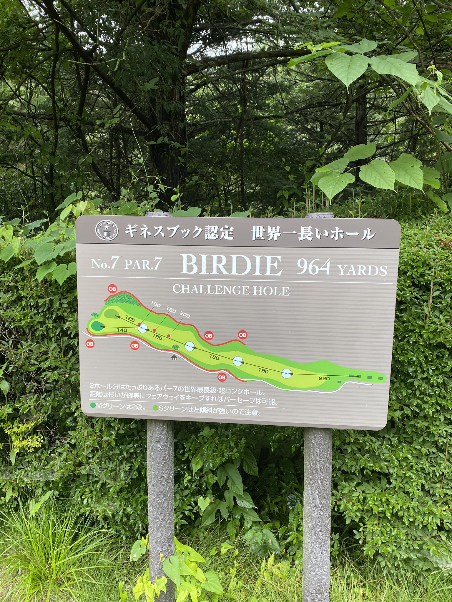 皐月ゴルフ倶楽部 Twitter Search Twitter