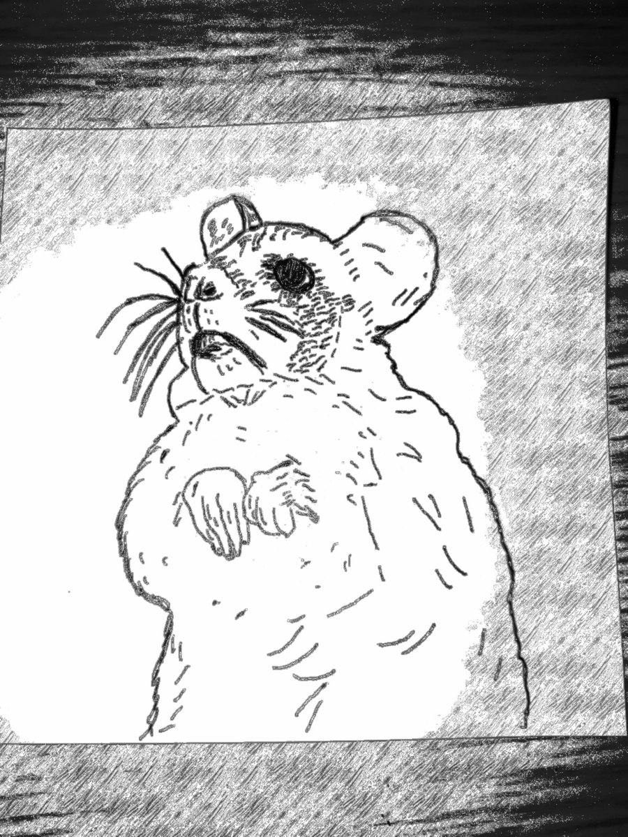 くまさん T0sjbm8snw3kkmq Twitter