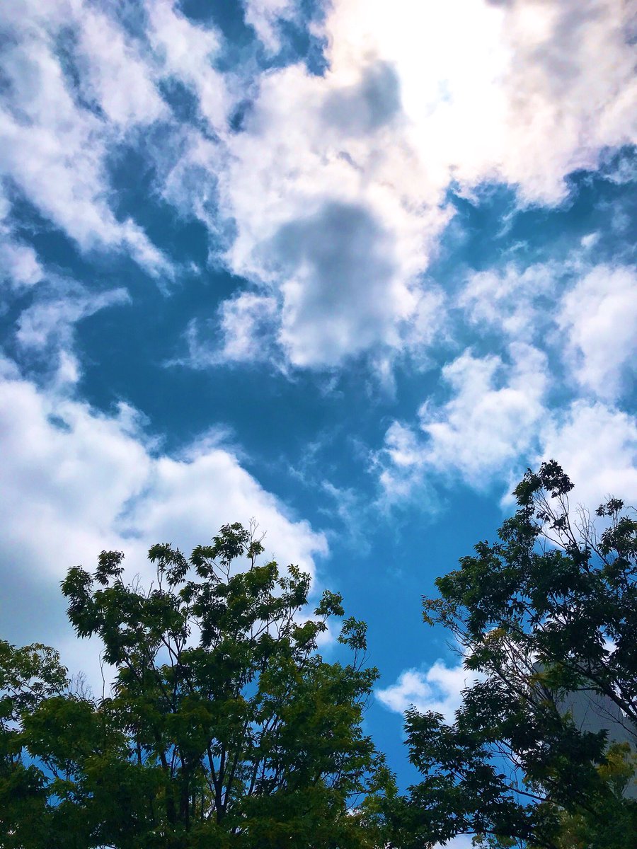 Happy_Collect_'s tweet photo. 晴れましたねー！☀️
空をみるのがすきです。
それでもまだ、雲が多め

#空が好き
#晴れ https://t.co/EwKXImUsSY