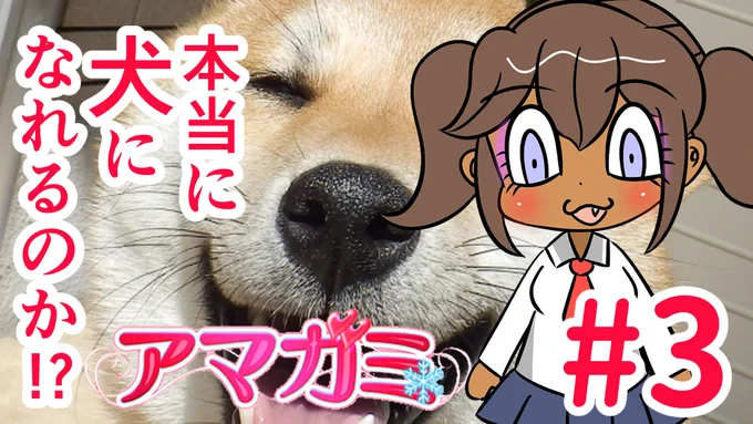 伝説のギャルゲーVS煮卵!?【アマガミ実況#3】 https://t.co/ZWWiyFprmE @YouTubeより 

今日もよろしくお願いします! 