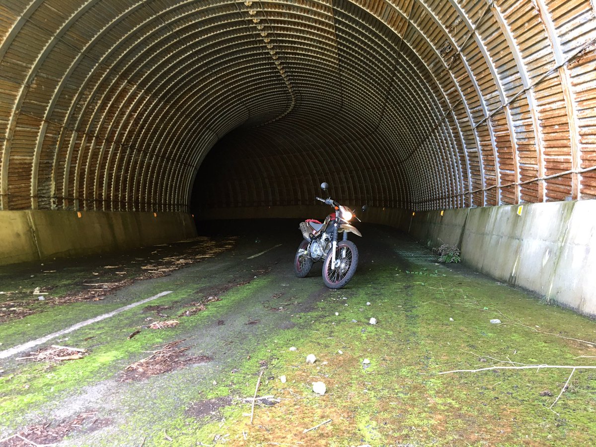 しかずきん 奈良県 廃道の暗いトンネルなう 廃道 廃トンネル