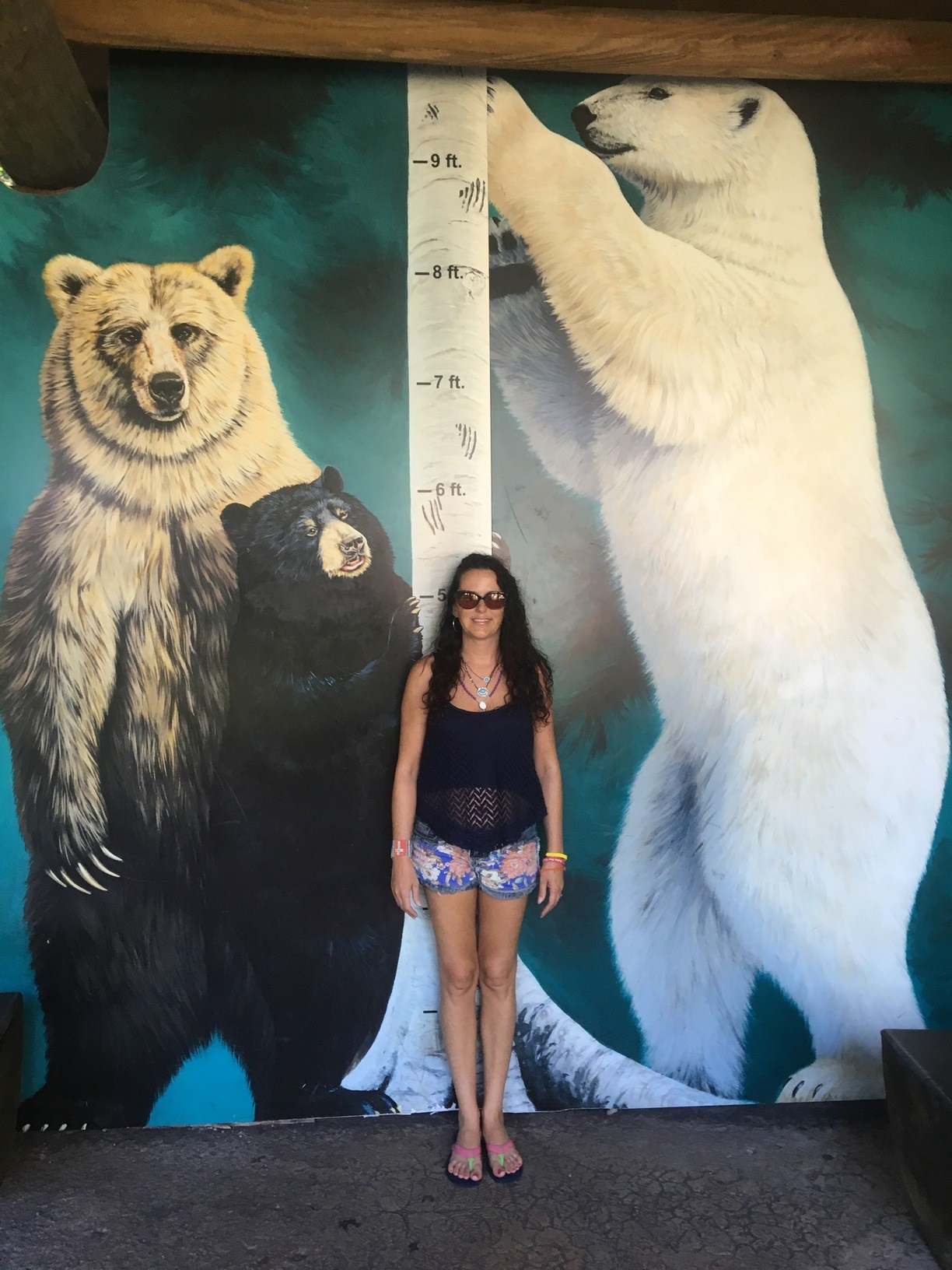 Polar Bear Standing Up Next To Human