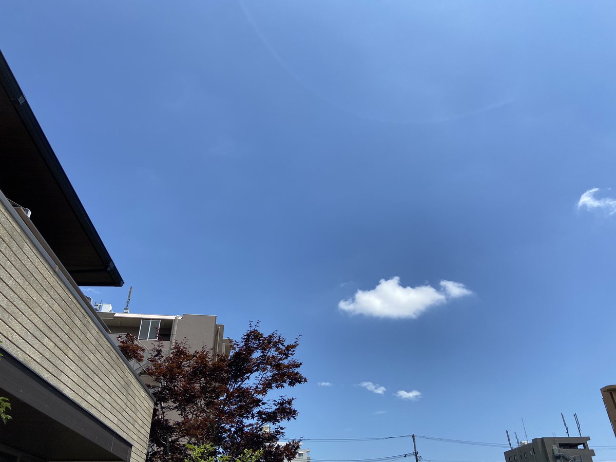 ZUNTAROU11's tweet photo. 自宅から見上げた空。
久しぶりの青空で気持ちいいなぁ😁 https://t.co/5oI6ZsGSDN