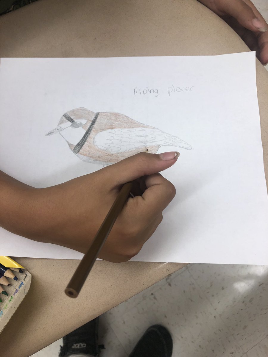 anderson_middle's tweet photo. We had a great first week of summer school. Our students and teachers were amazing. We can’t wait to see everyone back Monday! #summerjourney2020 #RedbirdProud https://t.co/gpxMs6GCir