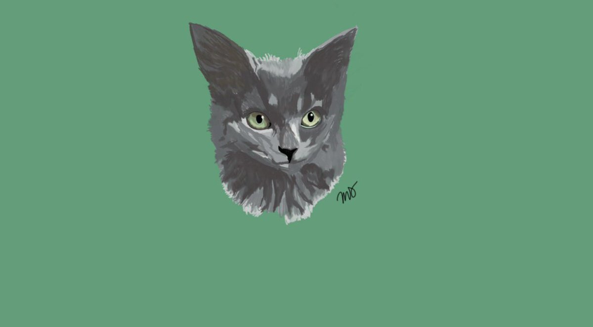 MadisonSchoonm2's tweet photo. if anyone wants to support my etsy i’m now taking digital pet portrait commissions🐶🐱 https://t.co/zJj3NVaeN2