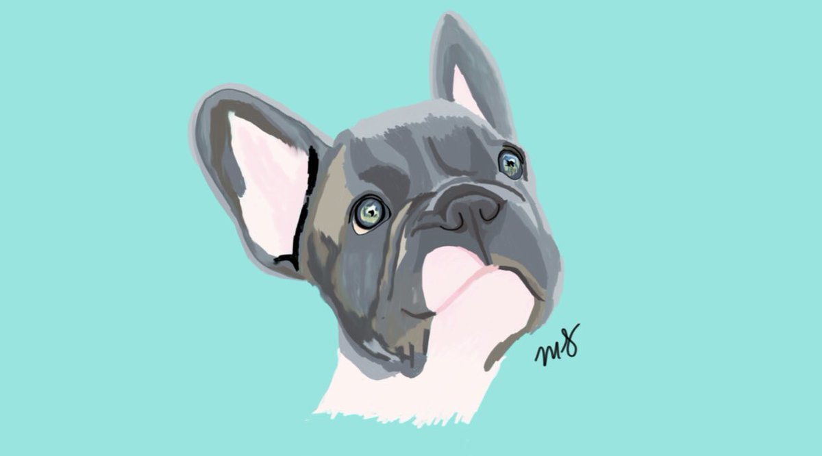 MadisonSchoonm2's tweet photo. if anyone wants to support my etsy i’m now taking digital pet portrait commissions🐶🐱 https://t.co/zJj3NVaeN2