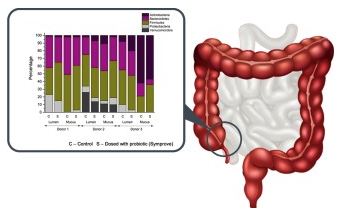 MicrobiomDigest's tweet photo. A 4-strain probiotic supplement influences gut microbiota composition and gut wall function in patients with ulcerative colitis - Jonas Ghyselinck 
* probiotic bacteria generate lactate, stimulates growth of commensal gut bacteria, raising SCFA levels 
https://t.co/8NfDQXJR0U https://t.co/fqImO76yT3