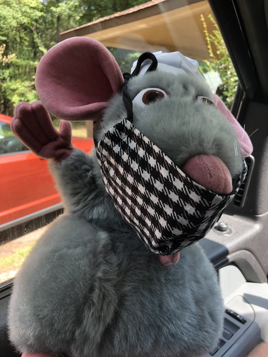 PuppetRunner's tweet photo. Remy wore a mask for our outing today. He’s all about safety and hygiene. https://t.co/adGCbagXAx