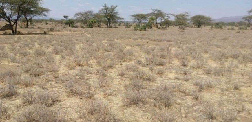 33/Adjudication is the process of removing the lands from communal, to individual ownershipIn 1979, a fraudulent adjudication by the govt placed 362 non-local persons (govt officials & friends) as owners of land in Iloodo-Ariak in Kajiado, occupied by 6,000 Maasai Kenyans.