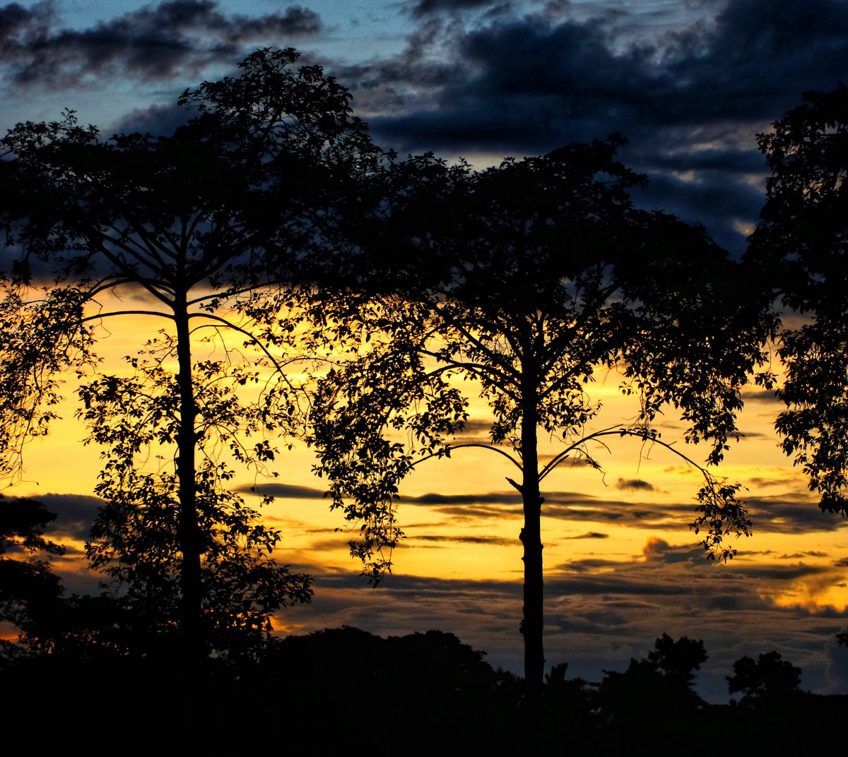 Life's Mantra . . Keep your face to the sun and you will never see the shadows-Helen Keller #sunofnortheast  #sunsetphotography  #goldenhour #nature  #NaturePhotography #natgeotravel  #natgeoyourshot  #assam  #everydayNEIndia  #morningmotivation  #MorningThoughts