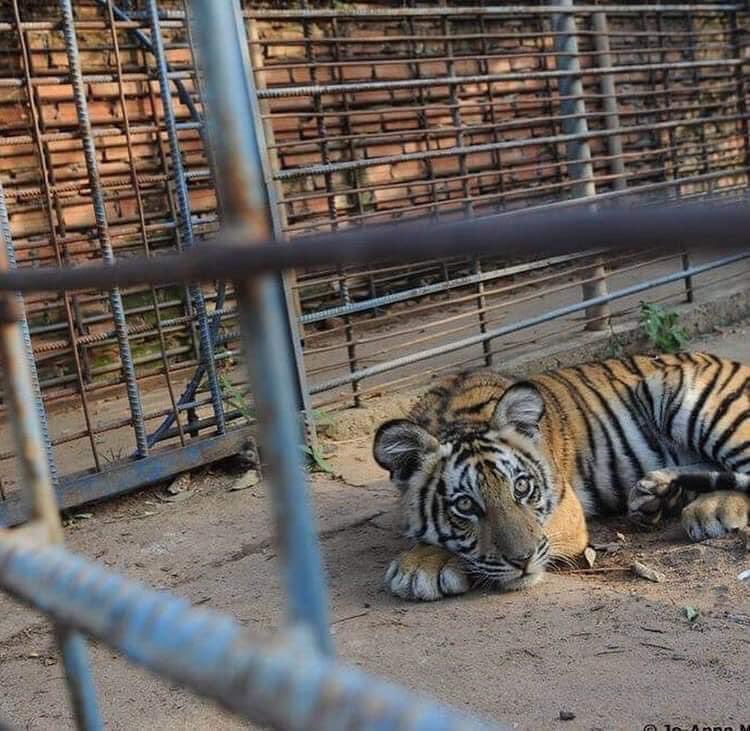 ¿Y entonces gente, estamos hartos del aislamiento?