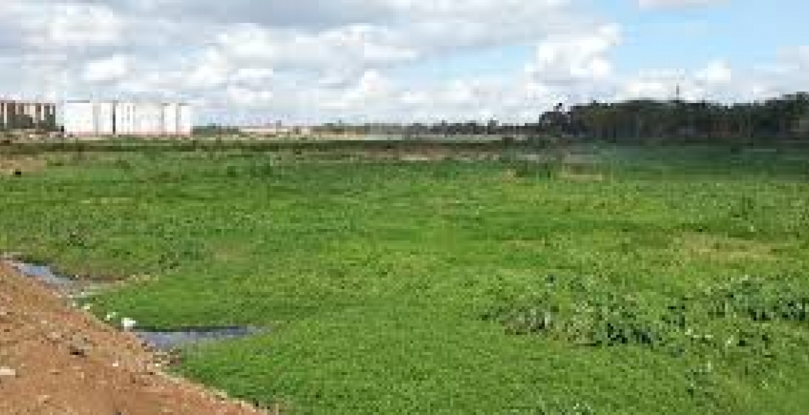 50/Encroachment upon riparian areas and wetlands such as done by the Visa Oshwal Centre, Nakumatt Ukay and the area around Nairobi Dam will have long term, barely reversible environmental degradation