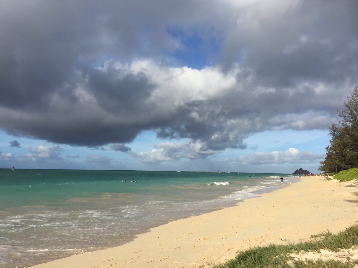 SylvieDahl's tweet image. Kailua Bay walkabout on a windy day #windwardside #windwardoahu #Hawaii #saturdayvibes