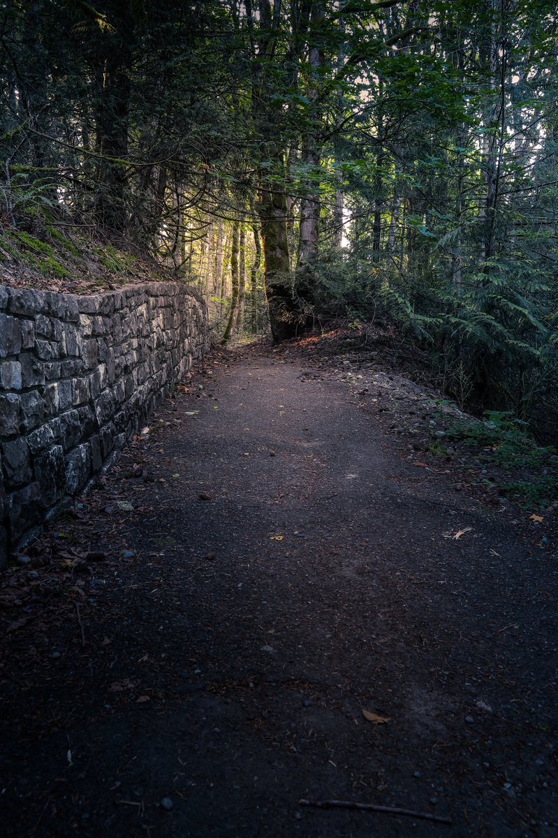 VicBCPhoto's tweet photo. Took a drive out to Bamberton Provincial Park this evening. What  a beautiful park. #vancouverisland #millbay #jerrymcevoyphotography #victoriaphotographer #pictureoftheday https://t.co/x9TM4ZNCf8