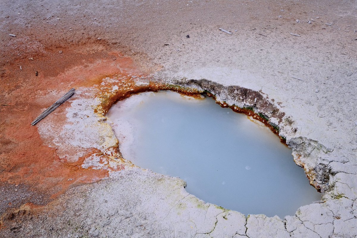 Fuji X Weekly tweet media