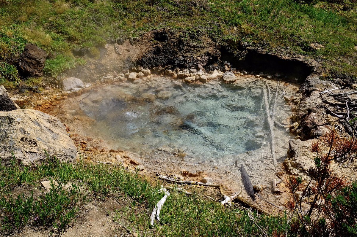 Fuji X Weekly tweet media