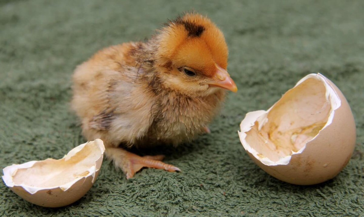 DPI League 2020 Rd 4, 15.06.20, Theme – Small is Beautiful – Aperture Class Winner: “No More Self Isolating” by Kelvin Hallen