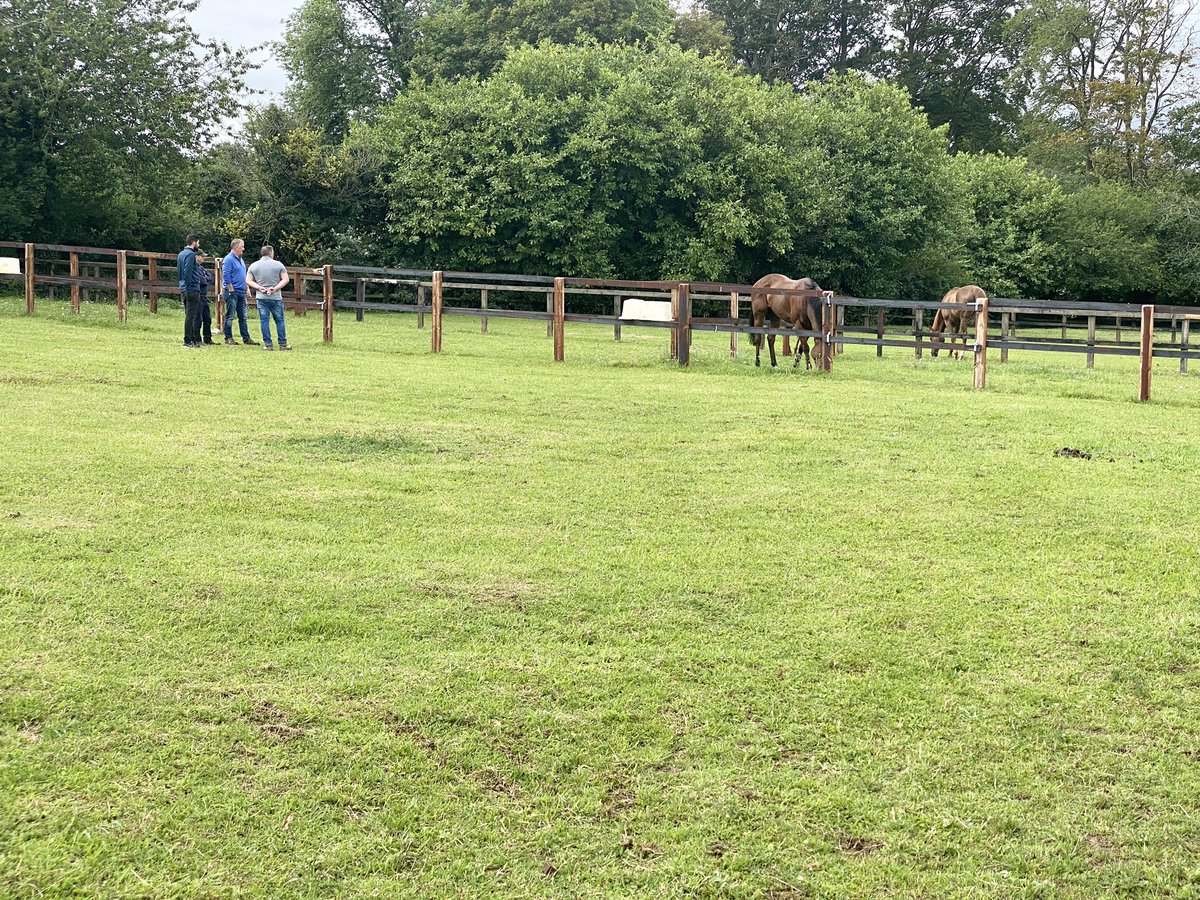 TonyCarsonRacing tweet media