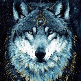 gladhill_in's tweet photo. "The Beauty Of The Wolf" https://t.co/YOwFaaeARK