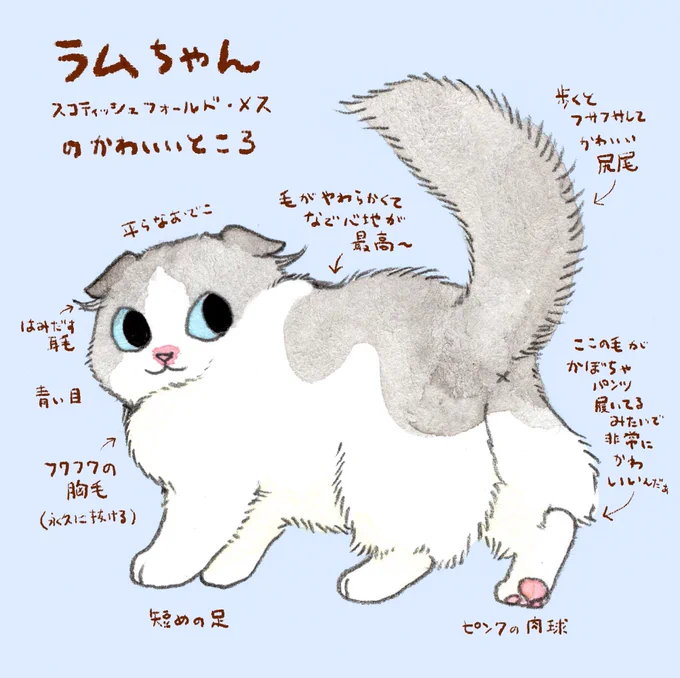 最近我が家でお世話することになった猫のラムちゃん
とってもやわらか〜いので見ているこちらまでとろけてしまいそうになっています 