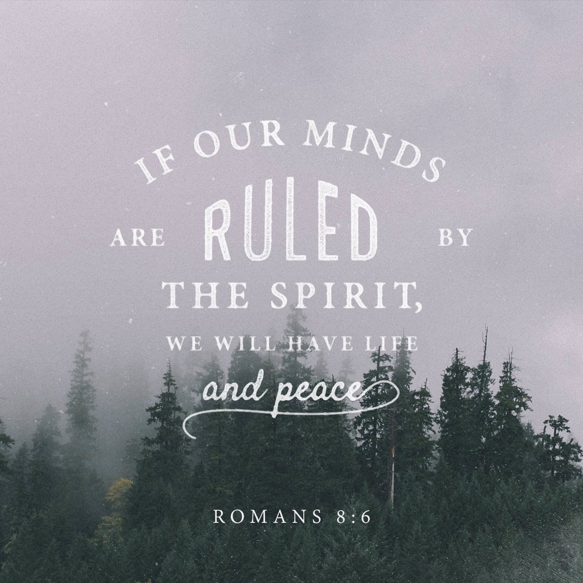 BethanyFilton's tweet photo. For the mind set on the flesh is death, but the mind set on the Spirit is life and peace,
Ro…
https://t.co/rDvsi8DYVV https://t.co/5Aab3ZM8Fv